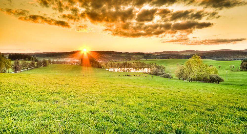 beautiful meadow during sunset